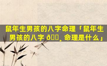 鼠年生男孩的八字命理「鼠年生男孩的八字 🌸 命理是什么」